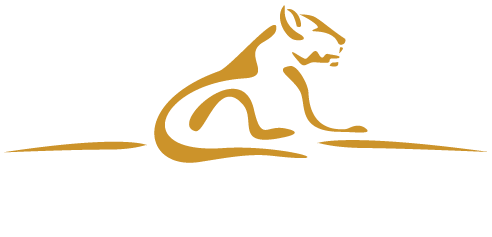 Austin Risk Solutions providing independent short-term insurance advice and risk management services